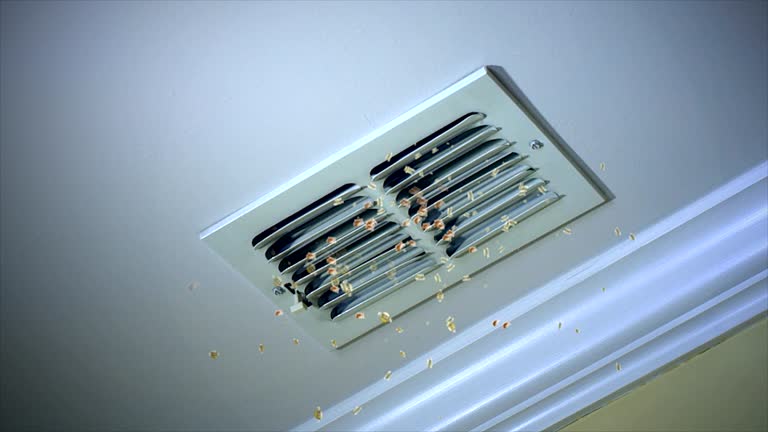 Best Best Air Duct Cleaning Company  in Garner, NC