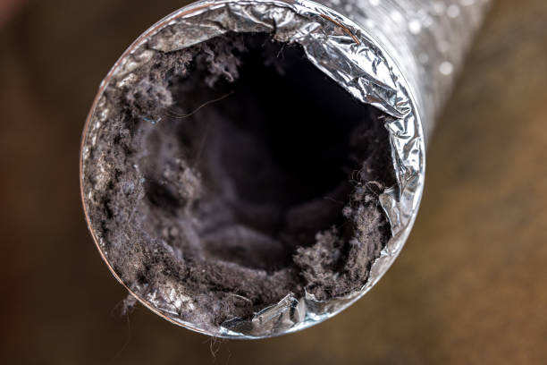 Best Home Air Vent Cleaning  in Garner, NC